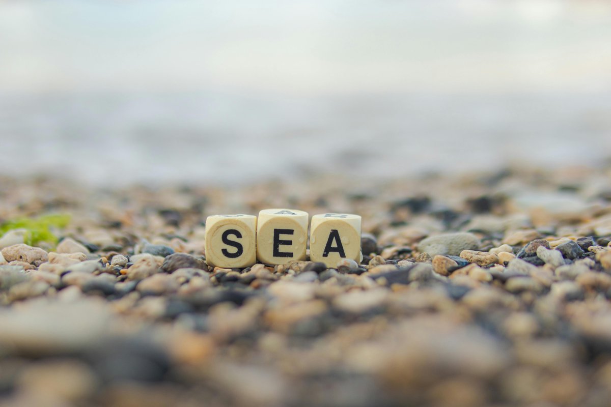 Understanding Rental Eviction: Key Motives and How to Navigate Them